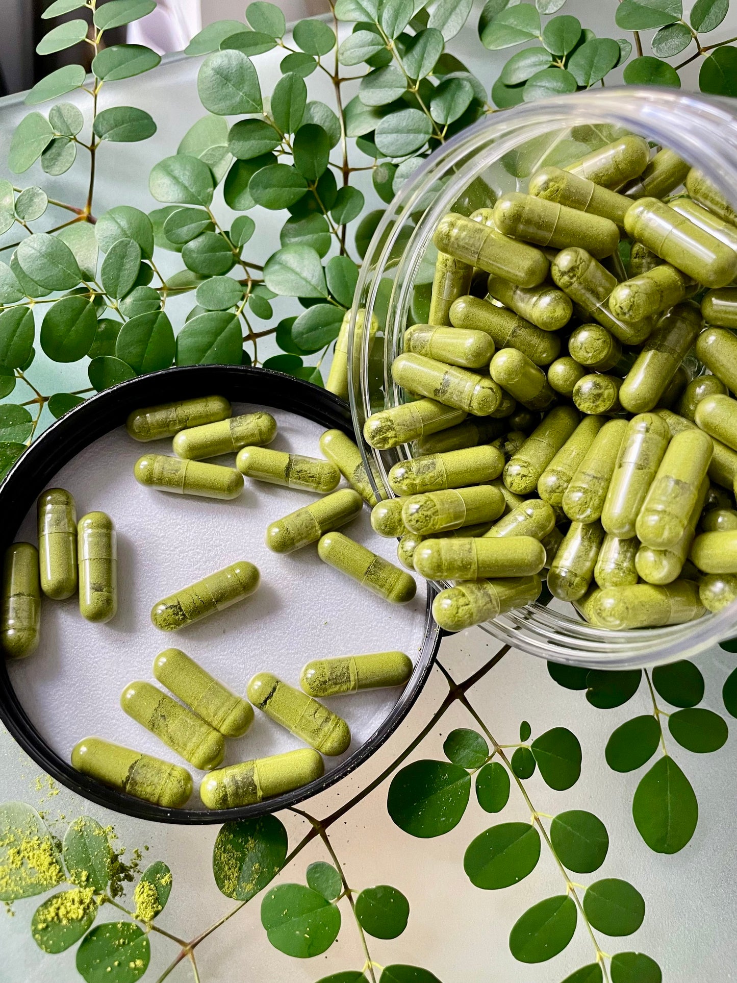 Organic Moringa Capsules (Moringa oleifera) 100% Organic Dietary Supplement
